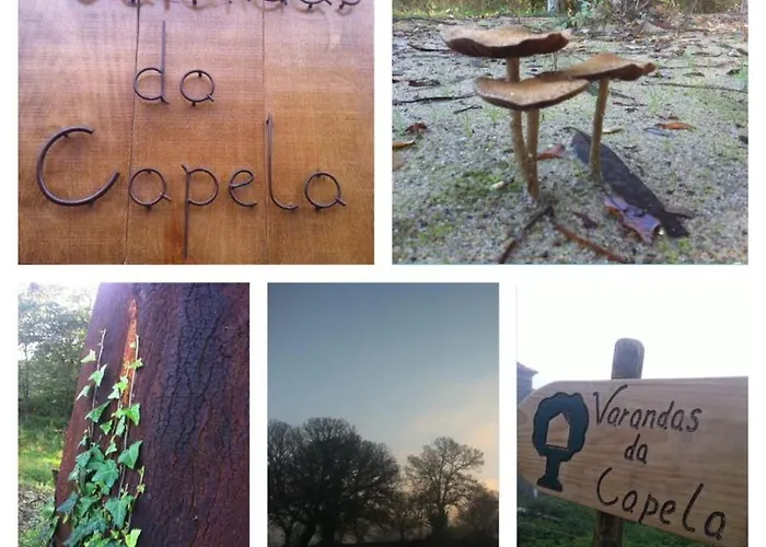 Летний дом Varandas Da Capela *